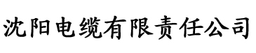 亚洲精品成人无限看电缆厂logo